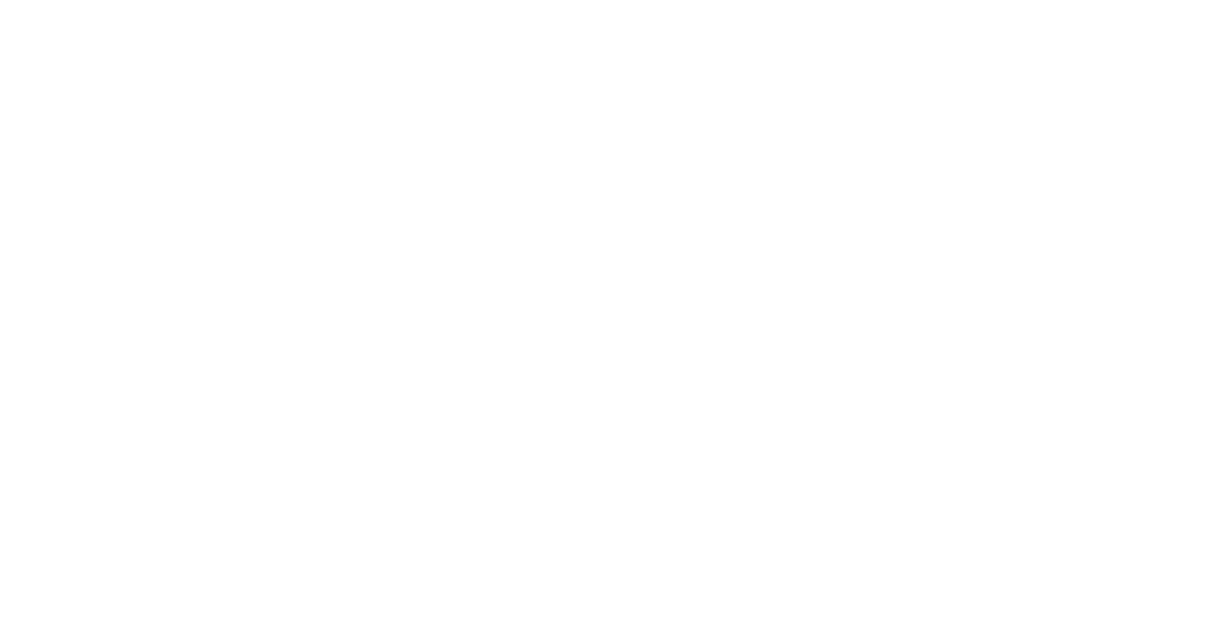 Bisons Logo, text only, white.
