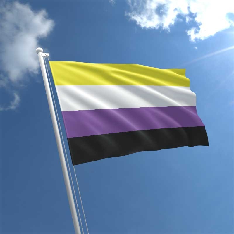 non-binary-flag-std